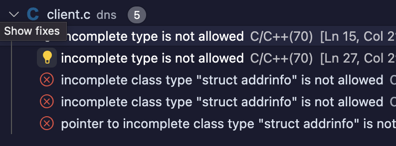 Fixing Incomplete Type Error on struct addrinfo on VSCode